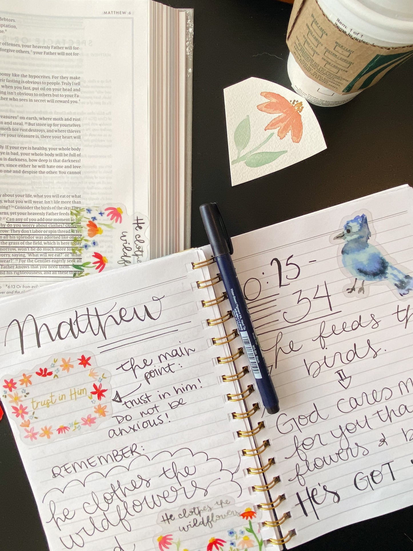 Blue Jay Vinyl Sticker